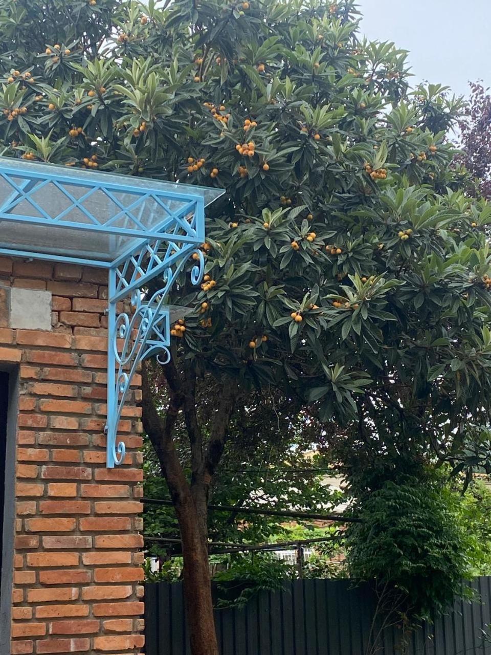 Hotel Varla Кутаиси Экстерьер фото