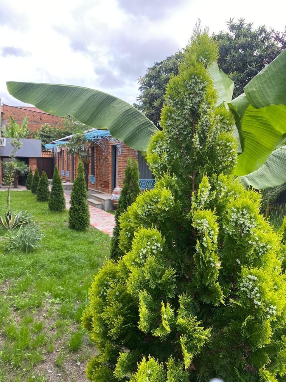 Hotel Varla Кутаиси Экстерьер фото